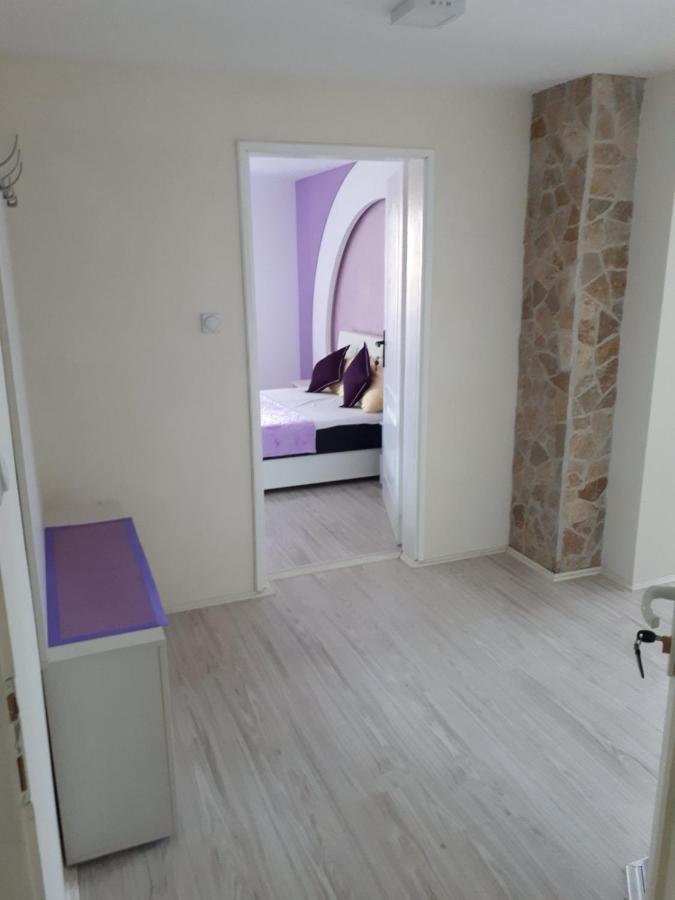Smestaj Milenkovic Soko Banja Exterior foto